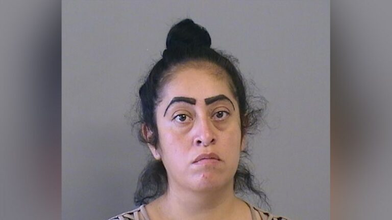 Desiree Castaneda mugshot.jpg