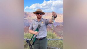 Grand Canyon ‘love locks’ put wildlife in danger, park says