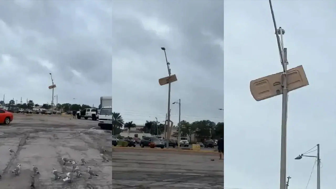 Florida storms send porta-potty door flying, impales into a light pole: ‘National flag of Florida’