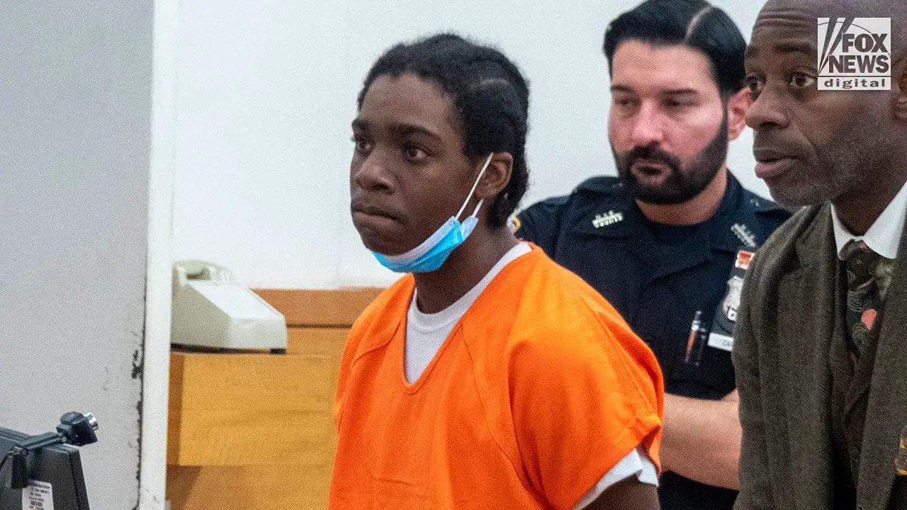 Teen indicted for stabbing poet to death in random NYC attack