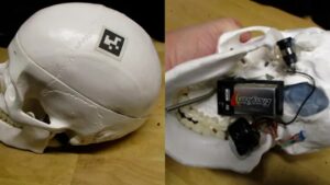 Bag containing ‘suspicious’ skull shuts down airport baggage screening for nearly 2 hours